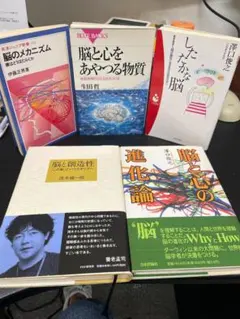 Item thumbnail for item 18314802-b9a5-4d2a-91fa-c312ccc18cd3