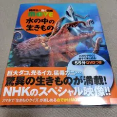 Item thumbnail for item ba7382bd-f63d-4f49-ac99-2844d41d64df