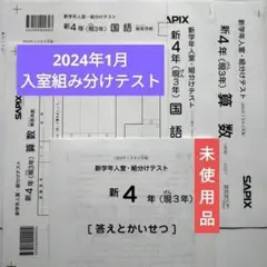 2025年最新】sapix 入室テスト 新2年の人気アイテム - メルカリ