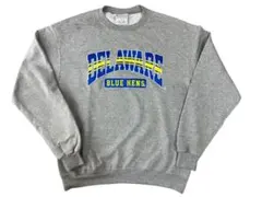 Champion チャンピオン スウェット トレーナー グレー L カレッジロゴ