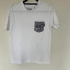 Item thumbnail for item bd4202f9-8308-4fdd-b42c-0347d4a29f96