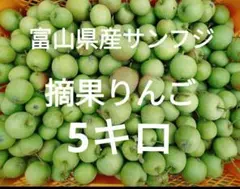 富山産　サンふじ　摘果りんご　5キロ 減農薬栽培のサムネイル