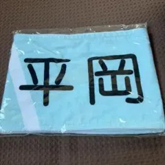日向坂46 平岡海月 4th Members Live タオル