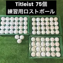 Titleist 練習用ロストボール　￼ 75個のサムネイル