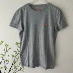 AMERICAN EAGLE OUTFITTERSグレー Tシャツ Sサイズ