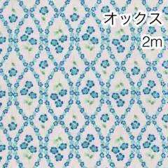 2m ネモフィラ ピンク オックス