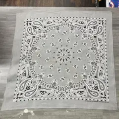 Item thumbnail for item 6e50da7d-2604-4419-9c74-8bce42d3c95d