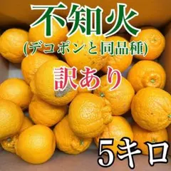2026年最新】農家直送 不知火(デコポン)の人気アイテム - メルカリ