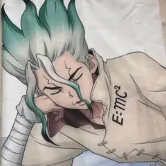 新品未開封】Dr.STONE ドクターストーン 石神千空 抱き枕カバー - メルカリ