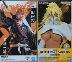 【BLEACH】黒崎一護　ハリベル　2体セット