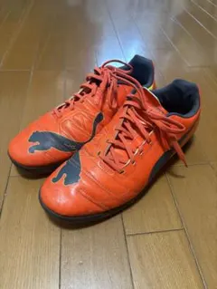 2026年最新】プーマ エヴォパワーの人気アイテム - メルカリ