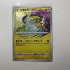 2026年最新】ライコウの人気アイテム - メルカリ