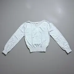 L'EST ROSE レストローズ Vネック ニット セーター M 淡いグレー