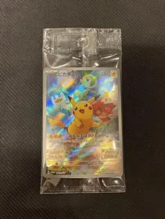 スカバイプロモピカチュウ未開封　グラードンARなど17枚