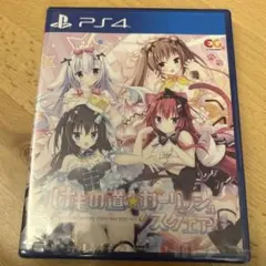 PS4 けもの道 ガーリッシュスクエア　新品、未使用ですが割れあり