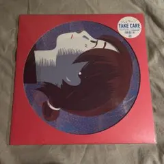 シャムキャッツ TAKE CARE レコード　LP ピクチャーヴァイナル