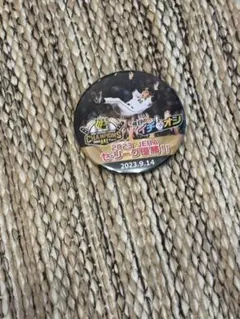 Item thumbnail for item 00873449-4d61-4710-8ff6-607c989c3078