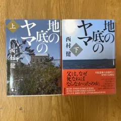 小説 キャンディ・キャンディ FINAL STORY 上下全2巻セット - メルカリ
