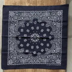 Item thumbnail for item 58956c3b-4b9f-4c34-bd2f-7f16f7163d33