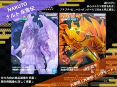 2026年最新】NARUTO-ナルト- 疾風伝 九尾掌握と因果なる邂逅の章の人気