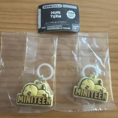 MINITEEN 　めじるしアクセサリー　ホシ　2個セット