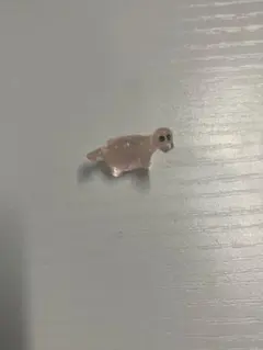 ピンクの犬型チャーム