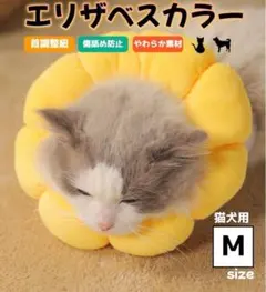 Item thumbnail for item 61acc27b-96c4-41f8-a6fd-d65b1f0a1623