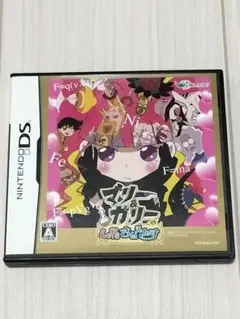 マリー＆ガリーのLet’sさいえんす　DS