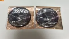 ものがたる背中コレクション缶バッジA カナヲ　童磨　無限城編　第一章　鬼滅の刃