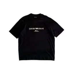 【試着のみ】エンポリオアルマーニ ミラノ ASVロゴ刺繍 Tシャツ Lサイズのサムネイル