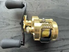 2026年最新】カルカッタコンクエストmd 301の人気アイテム - メルカリ