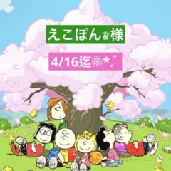 えこぽん♛様 専用ページ