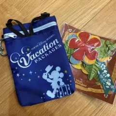 東京ディズニーリゾート ミッキーポーチ