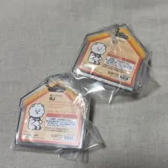 BT21　パッケージチャーム RJ　2個セット