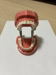 2025年最新】ニッシン歯科の人気アイテム - メルカリ