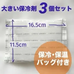 大きめ　保冷剤3個+保冷バッグセット　大　特大　大きい