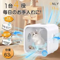 Item thumbnail for item 9cf54b3e-eed1-4481-8598-241e8468a0da