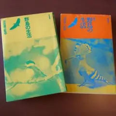 Item thumbnail for item a29651bc-3621-42d6-88fa-2045816b6ae0