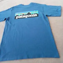 384）Patagonia パタゴニア Tシャツ ブルー