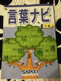 SAPIX 言葉ナビ 下巻 学習参考書 - メルカリ