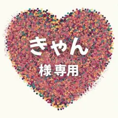 きゃん 様　専用ページ
