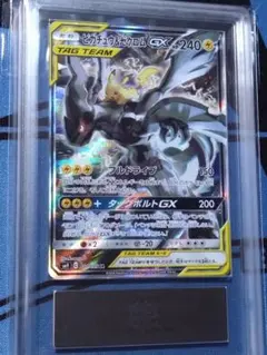 2025年最新】ピカチュウ&ゼクロム sa psa10の人気アイテム - メルカリ