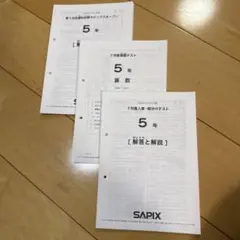 2026年最新】sapix 4年 7月 組分けの人気アイテム - メルカリ