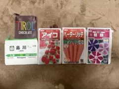 サカタのタネ　ポーチコレクション ガチャガチャ ポーチ チロルチョコ 品川