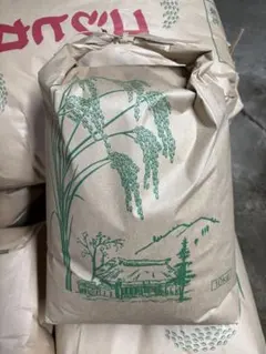 多古米 コシヒカリ 10kg 玄米（必ず商品説明をご覧ください） 新米】多古米 コシヒカリ 10kg 玄米（必ず商品説明をご覧ください