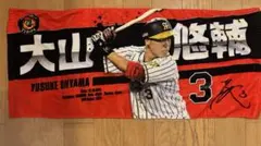 Item thumbnail for item 7f7c346e-f288-472d-ad89-3c2b9352442c