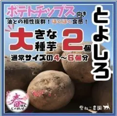 2026年最新】アンデスレッド 種芋の人気アイテム - メルカリ