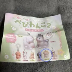 べびわんこ2 ジャック