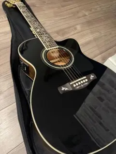 入手困難⭐︎ Takamine TDP 512 BL 長渕剛 モデル エレアコ - メルカリ