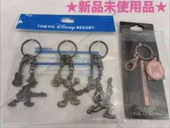 東京ディズニーリゾート•ホテルミラコスタ　キーチェーンセットのサムネイル